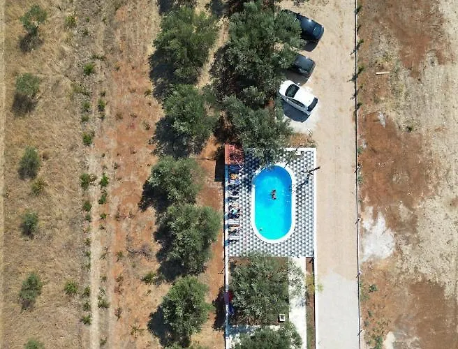 Olea
